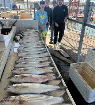 Catches of the day courtesy of Captain Kolton.
