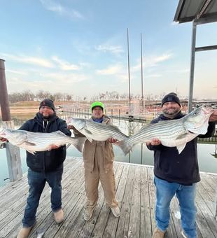 Look at those sizes! - Kingston, OK.