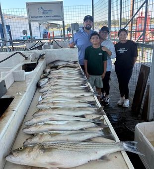The Table is almost full with big stripers! - Kingston, OK.