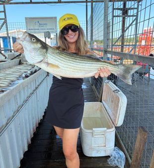 Exciting Striper catch at Buncombe Creek Marina!
