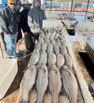 Striper fishing success on Lake Texoma waters.