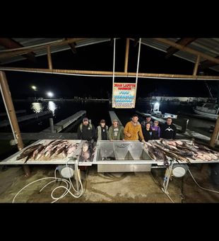 Night Bowfishing in Lafitte