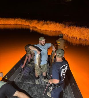 Night bowfishing in Lafitte under glowing bayou skies