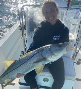 Snook fishing charters Tampa