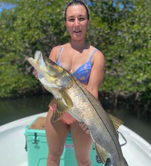 Florida Snook Fishing