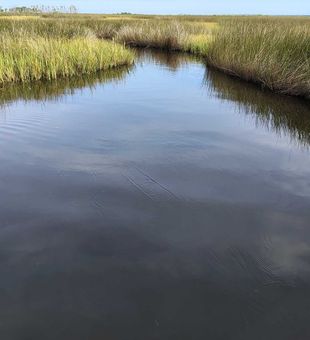 Perfect marsh waters waiting in Brooksville FL.