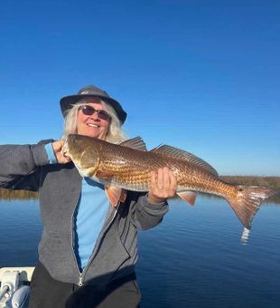 Beautiful Brooksville redfish making the day complete!