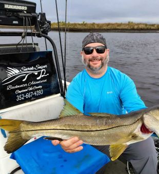 Beautiful Brooksville snook makes for an amazing catch!