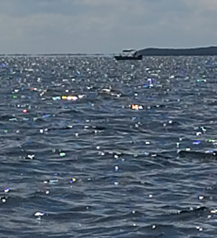 Partly cloudy skies set the stage for an epic bow fishing adventure!
