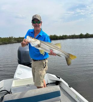 Strong inshore snook catch