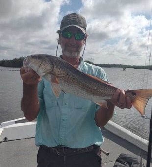 Snook Sniper Backwater Adventures 