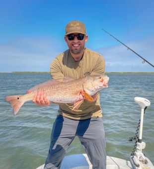 Bright redfish catch on inshore flats fishing trip