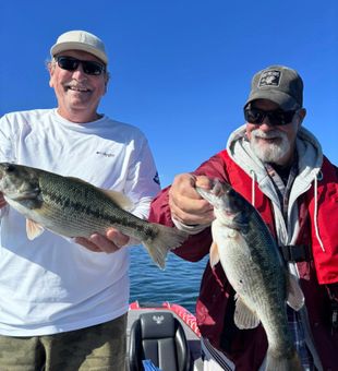 Trophy Bass Fishing on Table Rock. Massive!