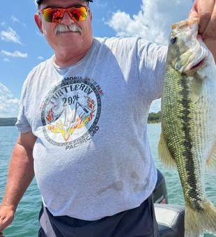 Looking for an unforgettable freshwater adventure? Branson bass fishing charters provide exciting action for families, friends, and serious anglers alike.