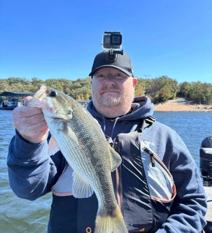 Table Rock Lake Bass is on the hook!