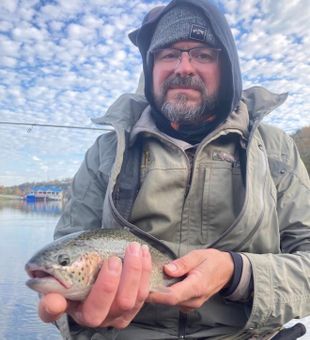 Solid rainbow trout catch