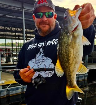 Nice spotted bass from Branson MO waters!