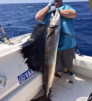 Reeling in a massive Atlantic Sailfish on the open waters of Tampa!