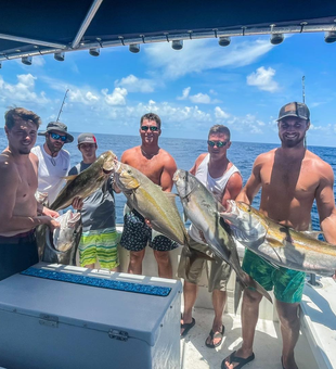 A feisty day of deep sea fishing with an impressive haul in Tampa, FL!