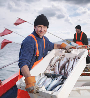 Fresh catch hauled in from Boston waters!