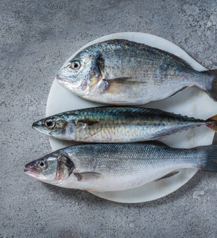 Fresh Boston catch displayed on white paper.