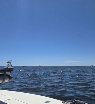 Exciting Florida Gulf Coast fishing waters under clear skies!