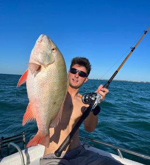 Catch more, worry less! Caught a Snapper Fish