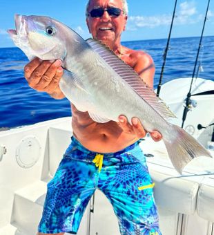 Reel 'em in, Florida fishing style!