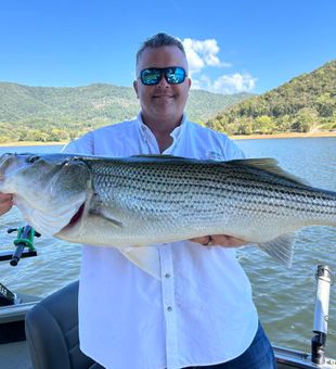 Cherokee Lake trophy striped bass catch
