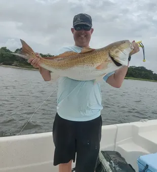 Redfish magic in Jacksonville, FL