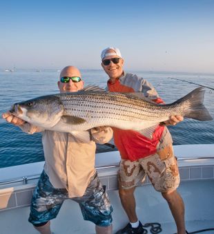 Great striped bass catch.