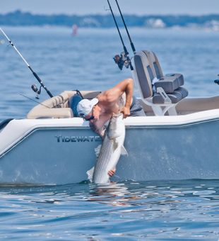 Strong striped bass catch.