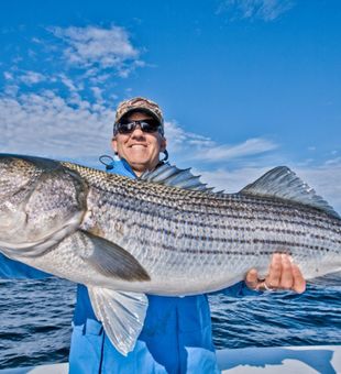 Boston Harbor Fish  Striped Bass Trophy ! Book Now