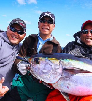 Reel in the thrill! Boston Harbor's best Fishing