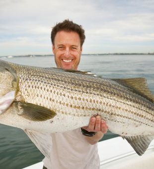 Hook the catch of a lifetime!Boston Harbor