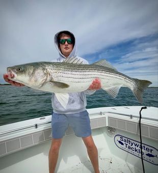 Some big bass in the harbor!  This one hit a white hogy paddle tail. 