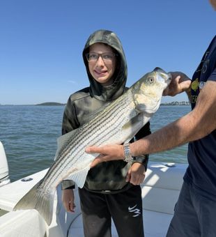 City skyline, calm waters, and bass on the line.