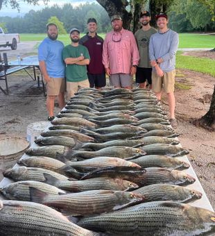 Hooked on fishing – the ultimate catch of the day