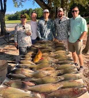 Fishing vibes and big catches – what a perfect day