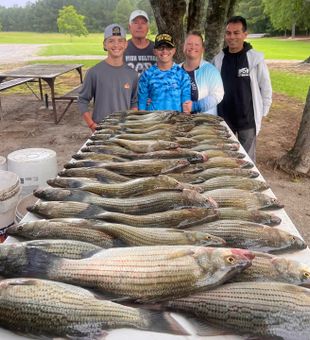 Clarks Hill Bass on the Line!