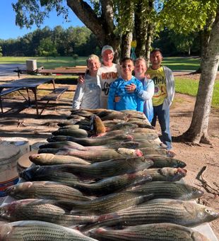 Epic striped bass fishing haul.