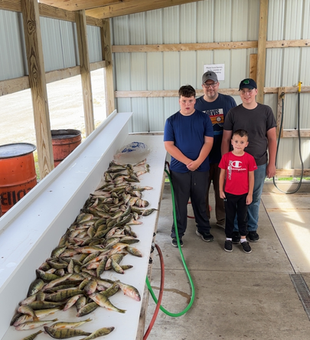 Exciting day on the water with deep sea trolling! Fresh catch ready for cleaning.
