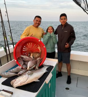 Greenport mornings, fish on the mind.