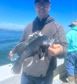 Calm bays, productive flats, and great fishing make Greenport, NY the perfect destination for anglers of all experience levels.