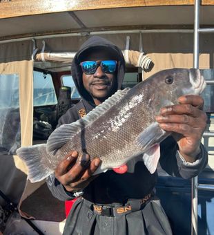 Montauk never disappoints on fish!