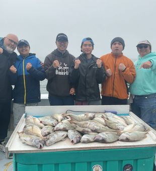 Spend the day casting the scenic waters of Greenport, NY, where every trip offers a chance to connect with the beauty of the coast and reel in memorable catches.