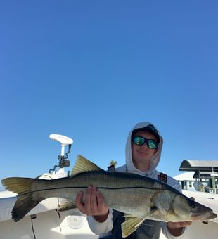 Fort Myers snook making the day complete!
