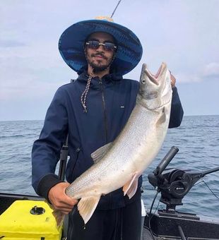 Salmon Fishing in  West Olive, MI