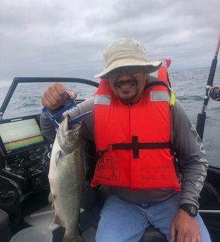 Proud Lake Michigan Chinook Salmon catch!