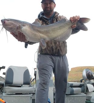 Nice blue catfish from Dayton WA waters!